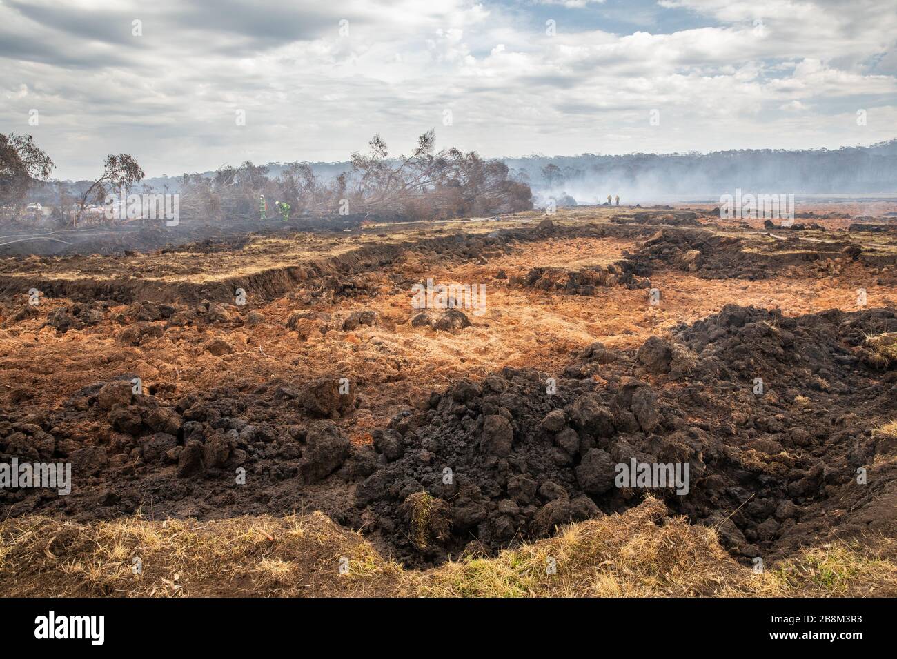 Pompieri ripuliscono i resti del fuoco della torba a Cape Conran Coastal Park 24 febbraio 2020 a East Gippsland, Victoria, Australia. L'area è stata devastata nei 2019 incendi boschivi e si sta lentamente riprendendo quando le piante iniziano a germogliare. Foto Stock
