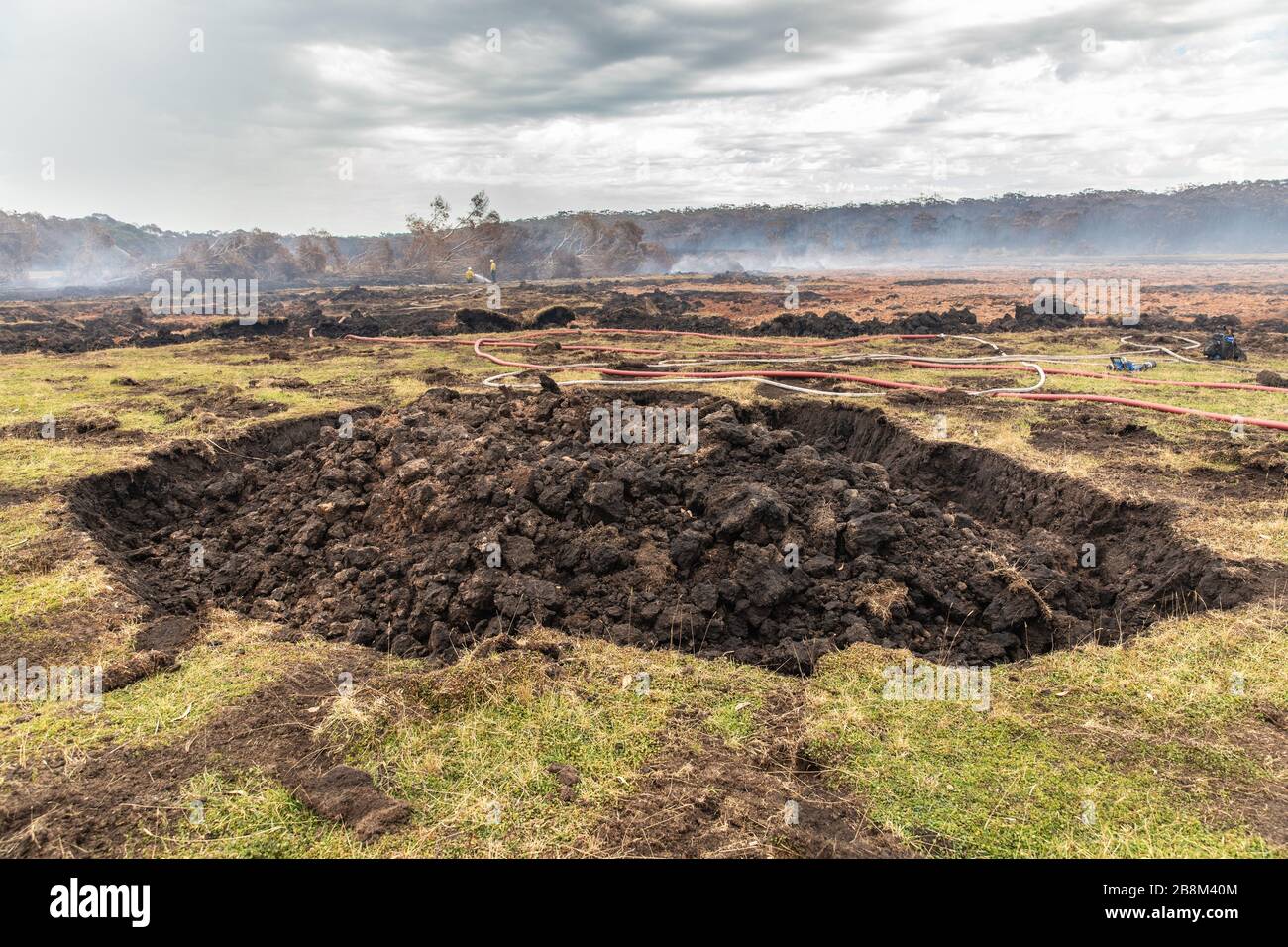 Il pompiere si rimazza sui resti dei punti caldi al fuoco della torba in Cape Conran Coastal Park 24 febbraio 2020 a East Gippsland, Victoria, Australia. L'area è stata devastata nei 2019 incendi boschivi e si sta lentamente riprendendo quando le piante iniziano a germogliare. Foto Stock
