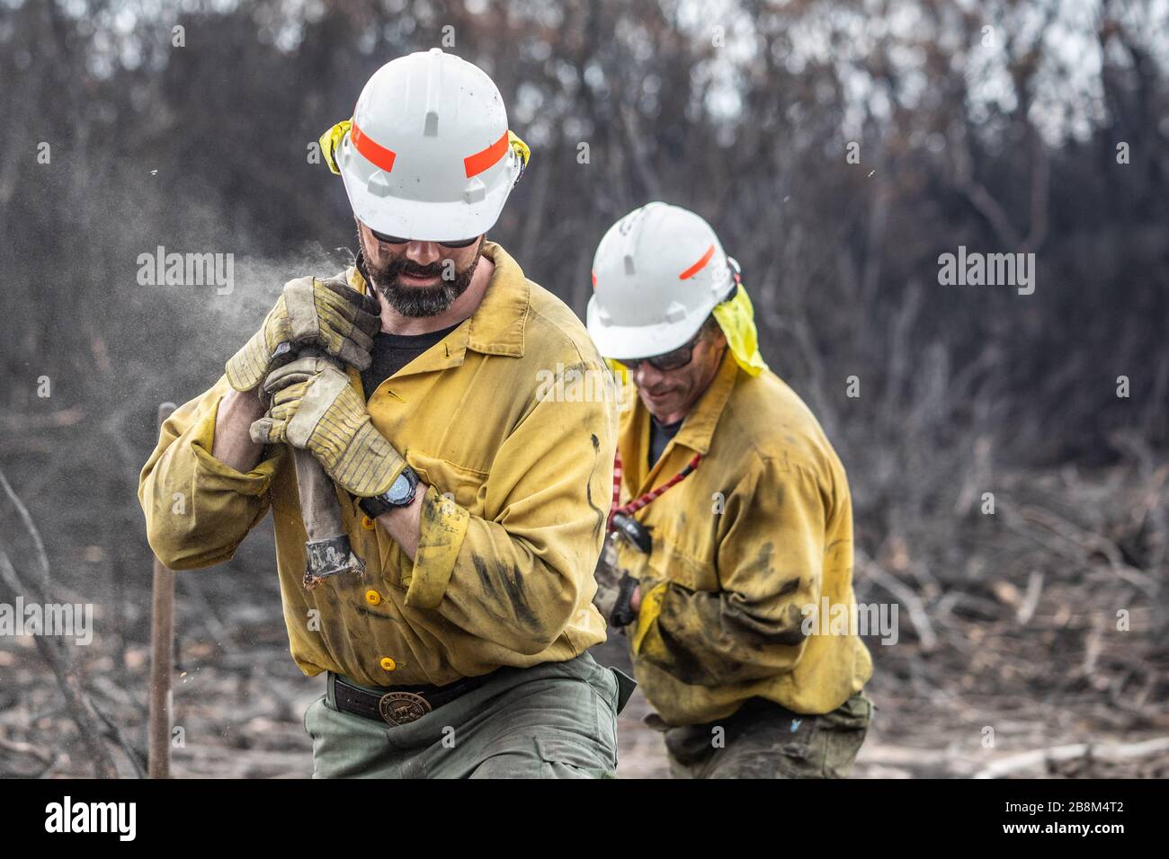 I vigili del fuoco americani hanno allestito il tubo flessibile presso il Peat Fire a Cape Conran Coastal Park 24 febbraio 2020 a East Gippsland, Victoria, Australia. L'area è stata devastata nei 2019 incendi boschivi e si sta lentamente riprendendo quando le piante iniziano a germogliare. Foto Stock