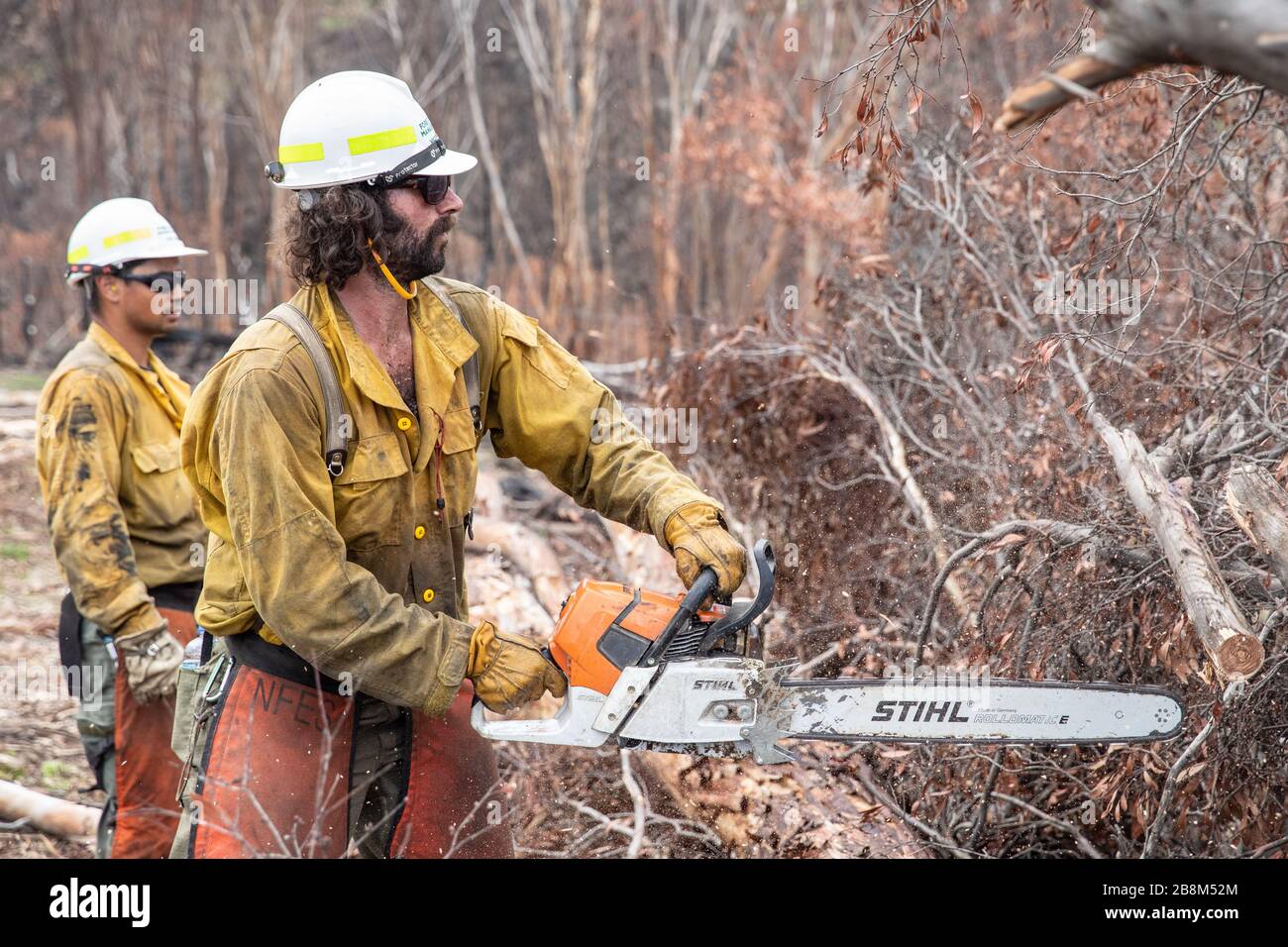 I vigili del fuoco americani aiutano a eliminare i detriti dagli incendi del complesso Peat and Tambo il 18 febbraio 2020 a Victoria, Australia. L'area è stata devastata nei 2019 incendi boschivi e si sta lentamente riprendendo quando le piante iniziano a germogliare. Foto Stock