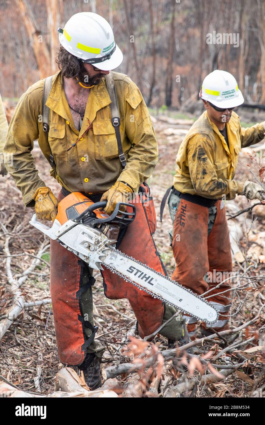 I vigili del fuoco americani aiutano a eliminare i detriti dagli incendi del complesso Peat and Tambo il 18 febbraio 2020 a Victoria, Australia. L'area è stata devastata nei 2019 incendi boschivi e si sta lentamente riprendendo quando le piante iniziano a germogliare. Foto Stock