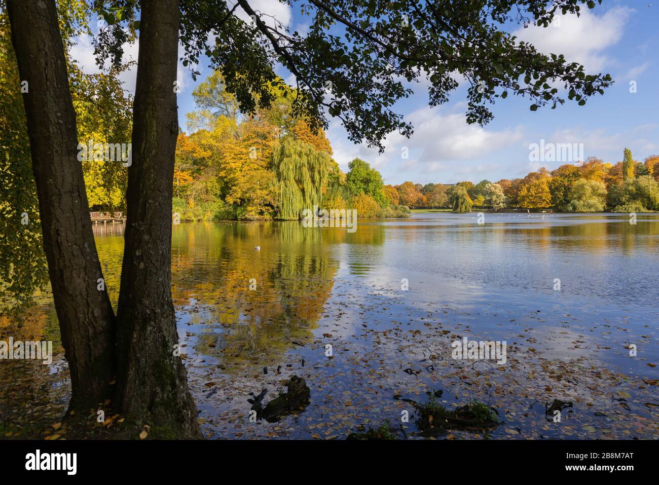 Fogliame autunnale nel Parco di Schreven, Kiel, capitale dello Schleswig-Holstein, Germania del Nord, Europa Centrale Foto Stock