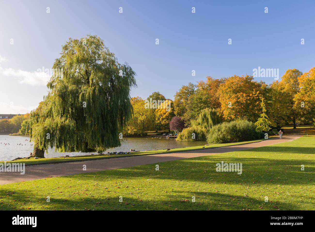 Fogliame autunnale nel Parco di Schreven, Kiel, capitale dello Schleswig-Holstein, Germania del Nord, Europa Centrale Foto Stock