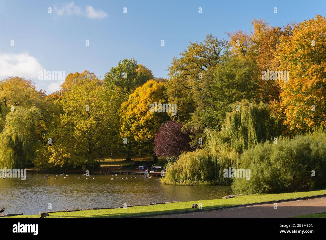 Fogliame autunnale nel Parco di Schreven, Kiel, capitale dello Schleswig-Holstein, Germania del Nord, Europa Centrale Foto Stock