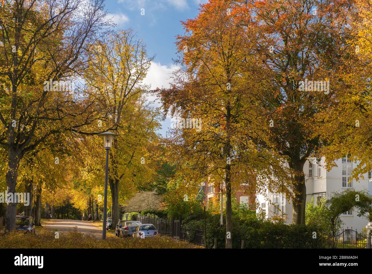 Fogliame autunnale nel Parco Forstbaumschule, Kiel, capitale dello Schleswig-Holstein, Germania settentrionale, Europa centrale Foto Stock