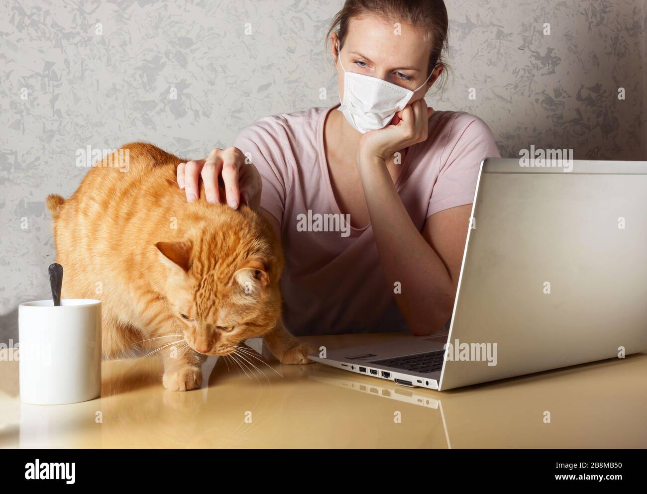 Lavoro da casa durante lo scoppio del virus COVID-19. Le persone lavorano a casa per prevenire l'infezione da virus. Donna che lavora sul tavolo da cucina vicino a un gatto Foto Stock