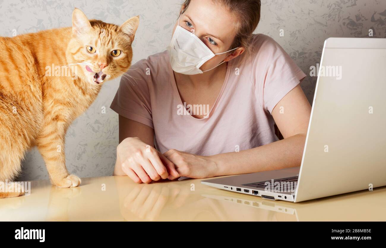 Lavoro da casa durante lo scoppio del virus COVID-19. Le persone lavorano a casa per prevenire l'infezione da virus. Donna che lavora sul tavolo da cucina vicino a un gatto Foto Stock