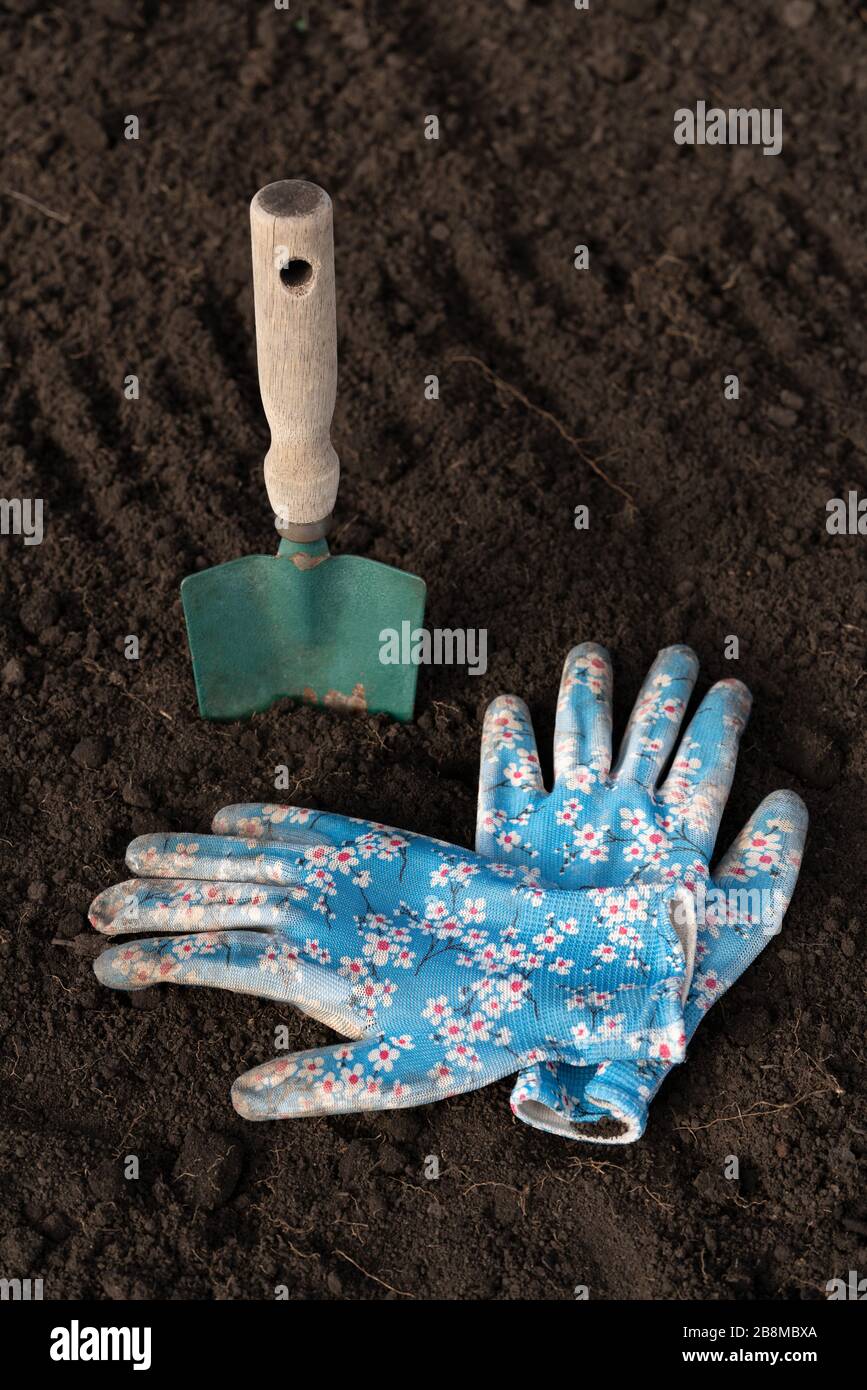 Pala da giardino verde con manico in legno, guanti da giardino blu con motivo giacciono sul terreno scavato. Primo piano. Giardino di lavoro. Foto Stock