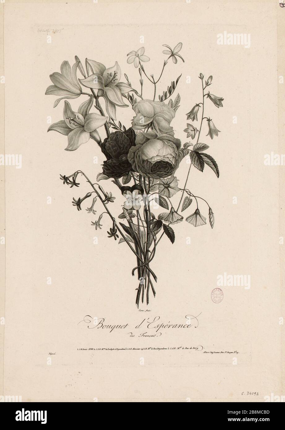 Bouquet d'Espérance des Français. (TI) Foto Stock