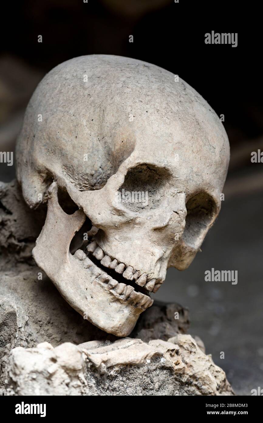 Resti cranici e scheletrici di una vittima dell'eruzione del Vesuvio del 79 d.C., Ercolano, Campania, Italia. Foto Stock