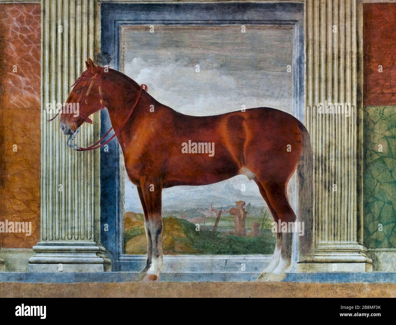 Uno dei più amati di Gonzaga. Affresco a grandezza naturale nella Camera dei cavalli (XVI secolo) all'interno di Palazzo te, Mantova, Lombardia, Italia. Foto Stock