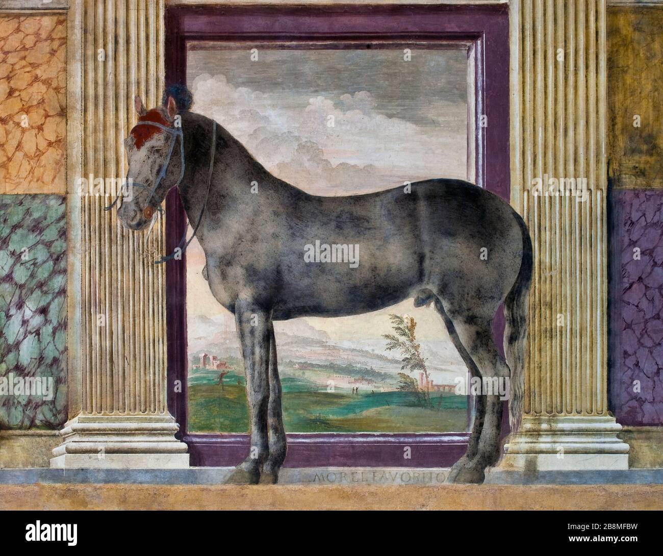 Uno dei più amati di Gonzaga. Affresco a grandezza naturale nella Camera dei cavalli (XVI secolo) all'interno di Palazzo te, Mantova, Lombardia, Italia. Foto Stock