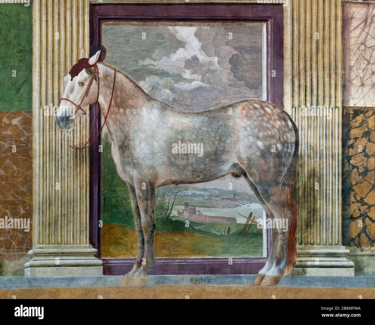 Uno dei più amati di Gonzaga. Affresco a grandezza naturale nella Camera dei cavalli (XVI secolo) all'interno di Palazzo te, Mantova, Lombardia, Italia. Foto Stock