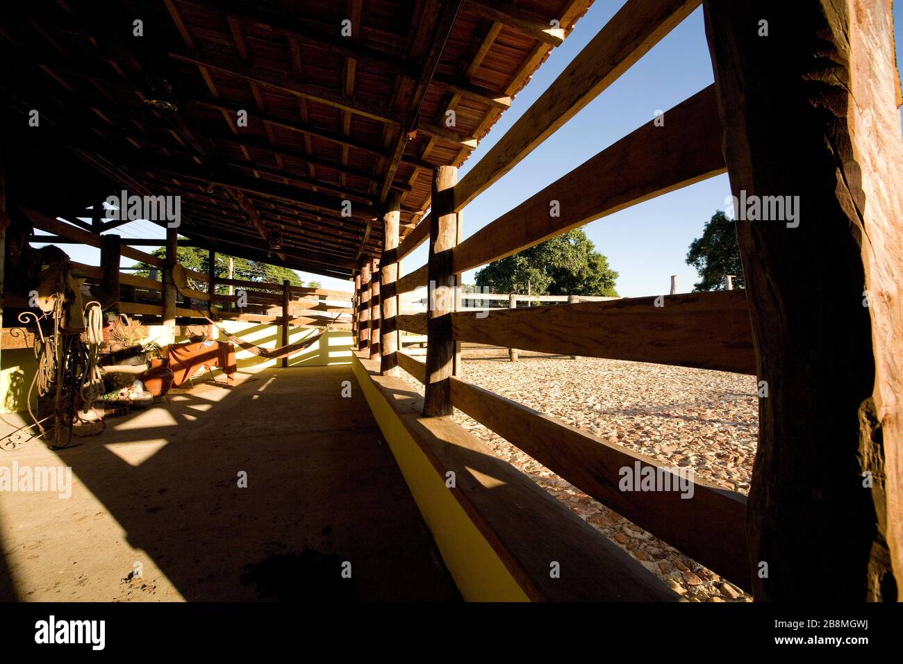 Estrutura de piquete de fazenda de criação de gado, struttura del Picket di Finanza di allevamento di bovini, Aquidauana, Mato Grosso do sul, Brasile Foto Stock