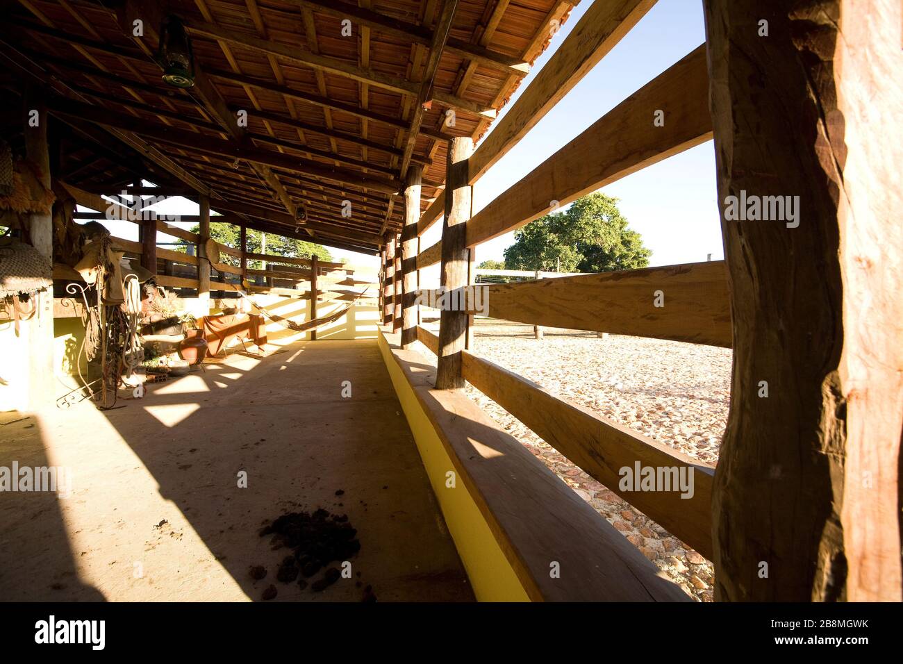 Estrutura de piquete de fazenda de criação de gado, struttura del Picket di Finanza di allevamento di bovini, Aquidauana, Mato Grosso do sul, Brasile Foto Stock