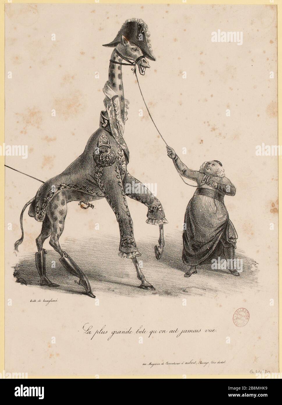 Il più grande animale mai visto. (IT) Foto Stock