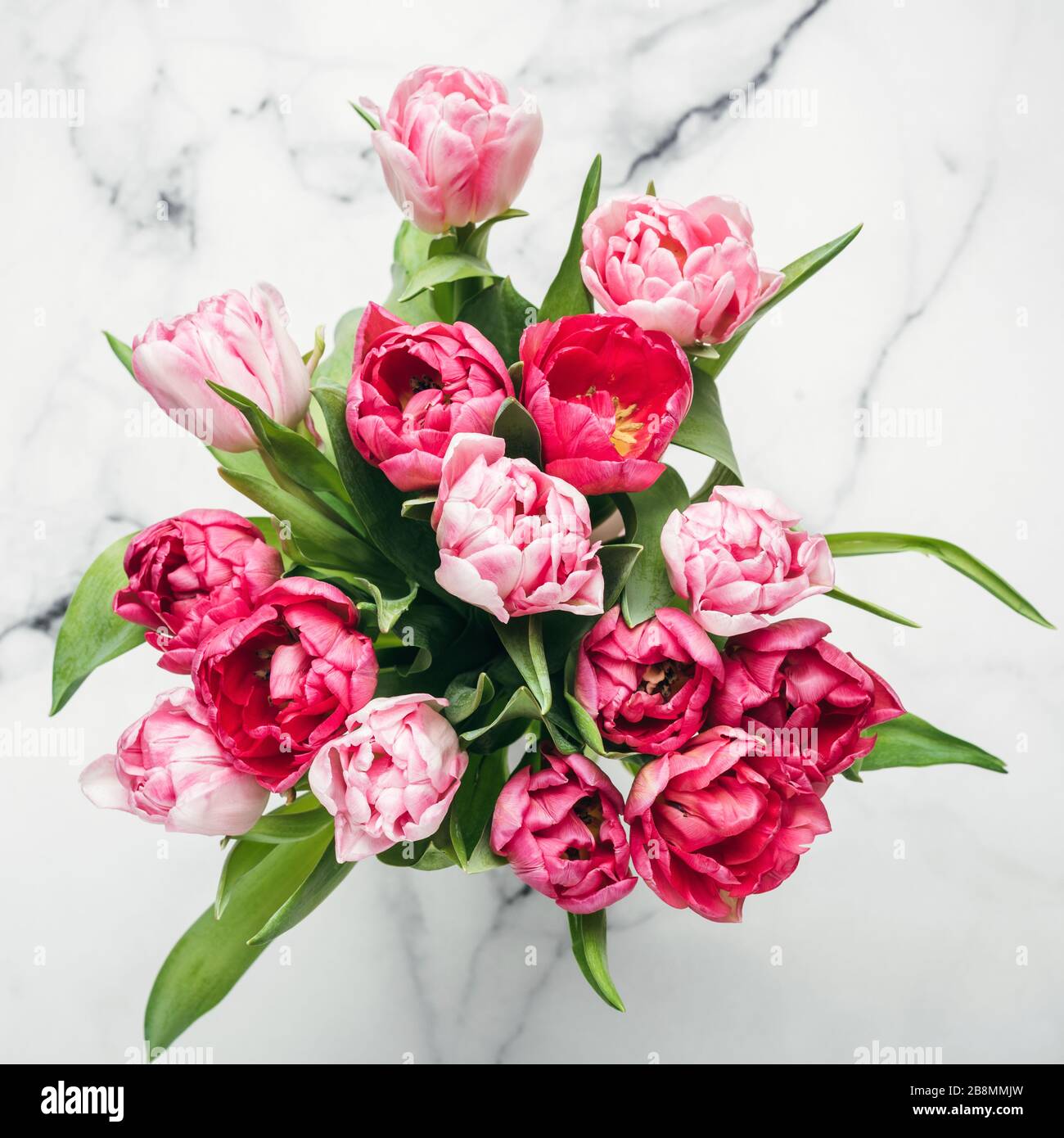 Splendidi tulipani rosa su marmo sfondo Vista dall'alto orientamento quadrato. Concetto di mazzo per la festa della mamma Foto Stock