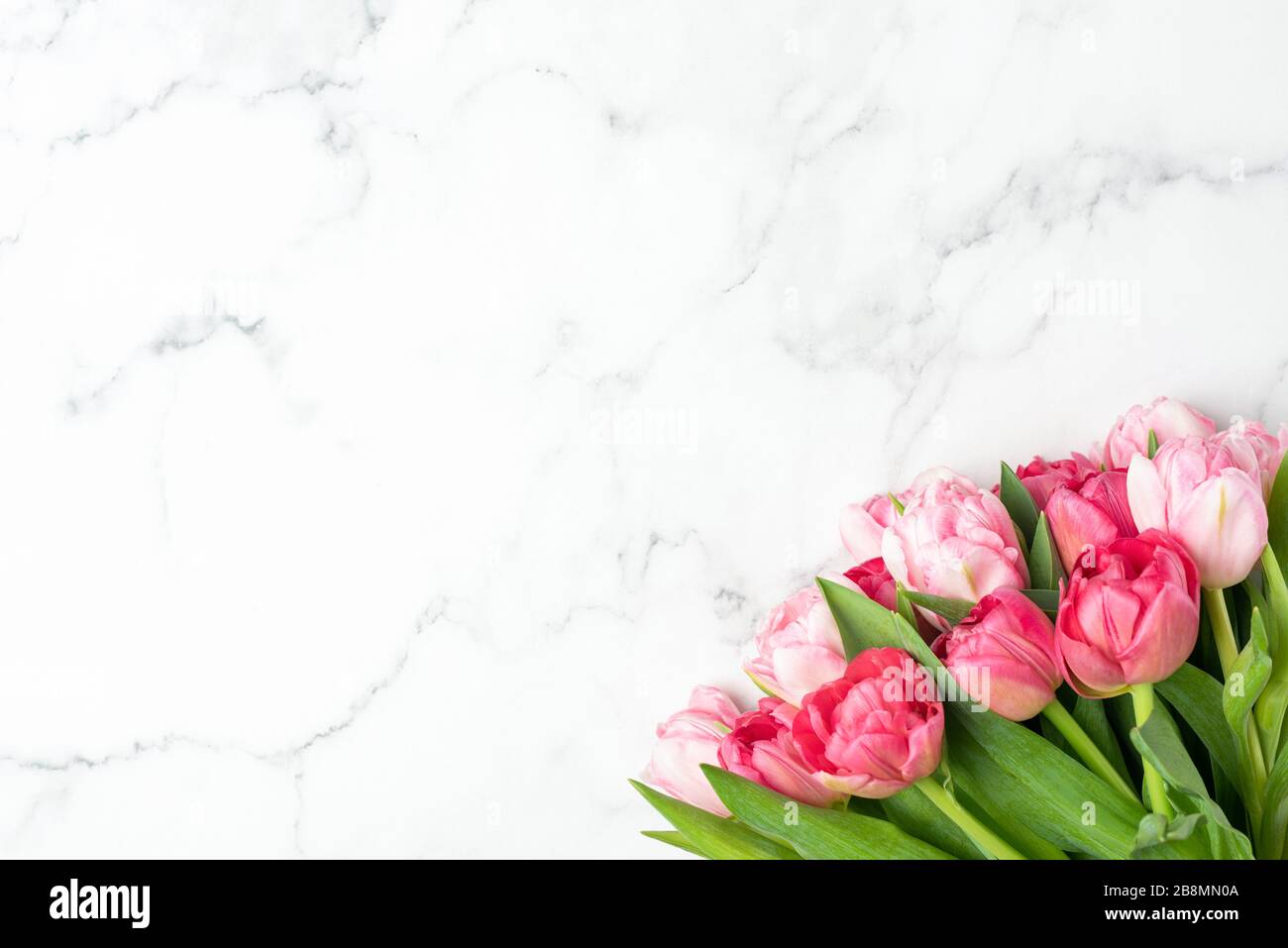 Tulipani rosa di peonia su sfondo marmoreo con spazio per il testo o lo sfondo. Fiori del giorno della madre, concetto del regalo del giorno della donna Foto Stock