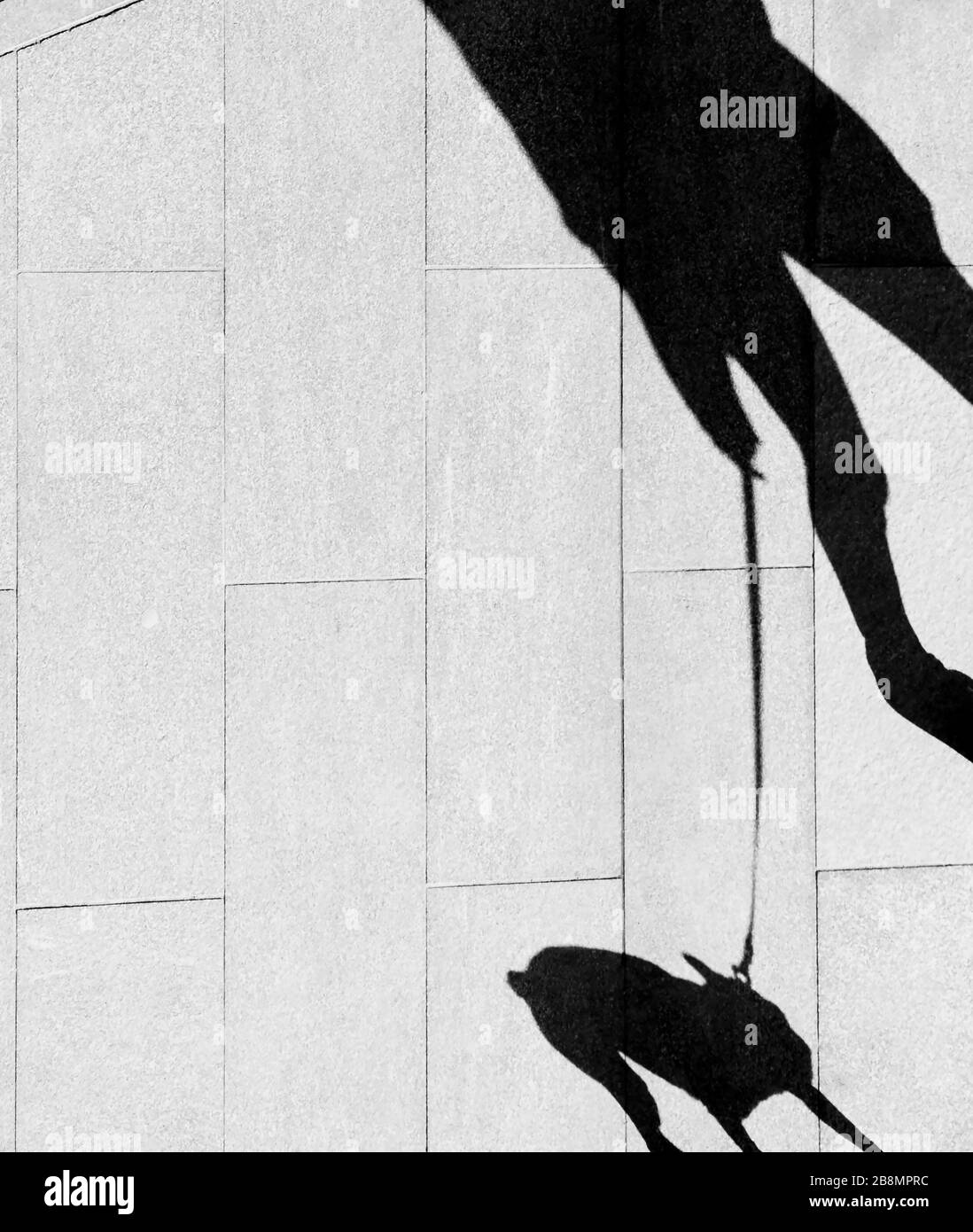 Ombra silhouette di una persona che cammina un cane su un guinzaglio sul marciapiede della città, dettaglio Foto Stock