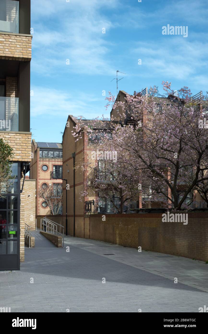 Crisp Walk, Thames Path, Hammersmith, Fulham, Londra Foto Stock