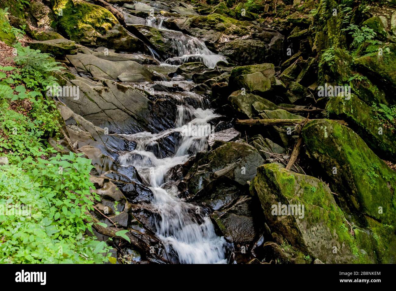 Cascata sul torrente Hylaty a Zatwarnica in Polonia Foto Stock