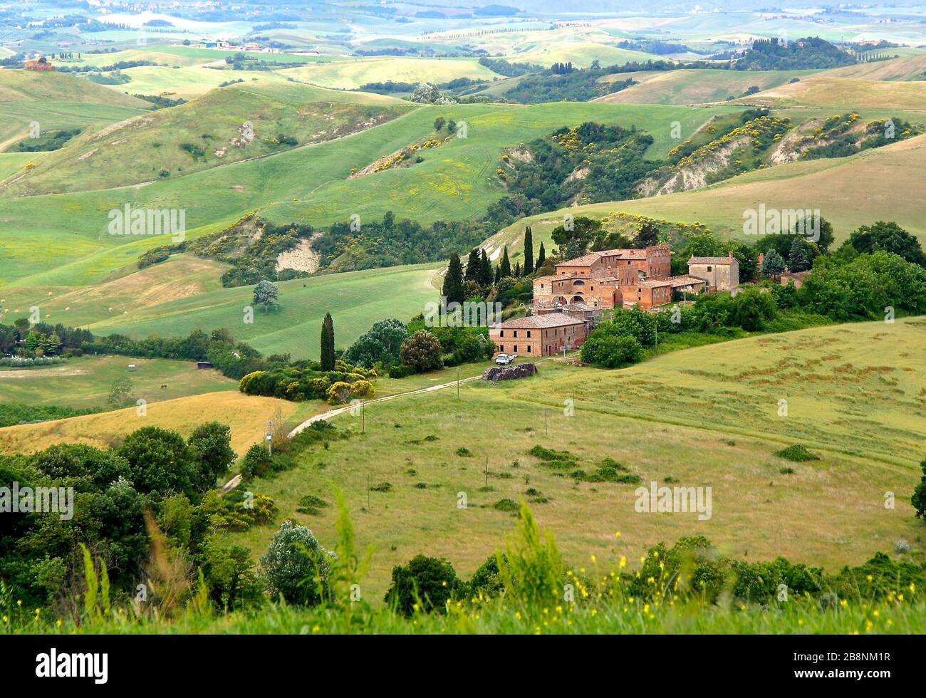 Paesaggio toscano con colline ondulate e pascoli verdi Foto Stock