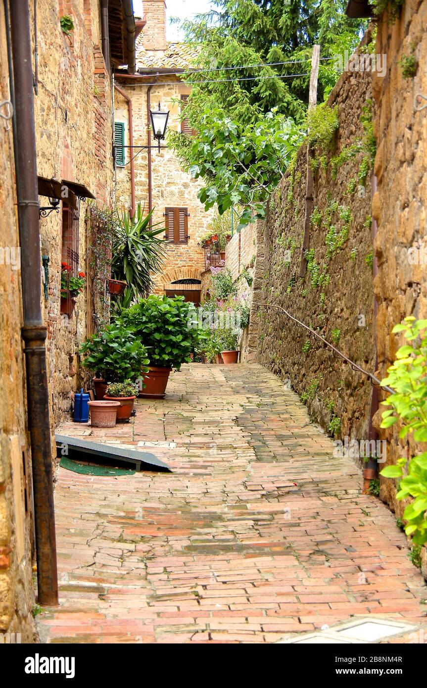 Passerella cittadina italiana con piante Foto Stock