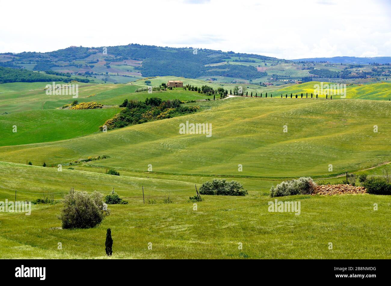 Paesaggio toscano con colline ondulate e pascoli verdi Foto Stock