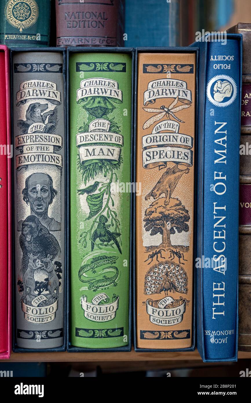 Opere seminali di Charles Darwin in una libreria secondaria a Edimburgo, Scozia, Regno Unito. Foto Stock