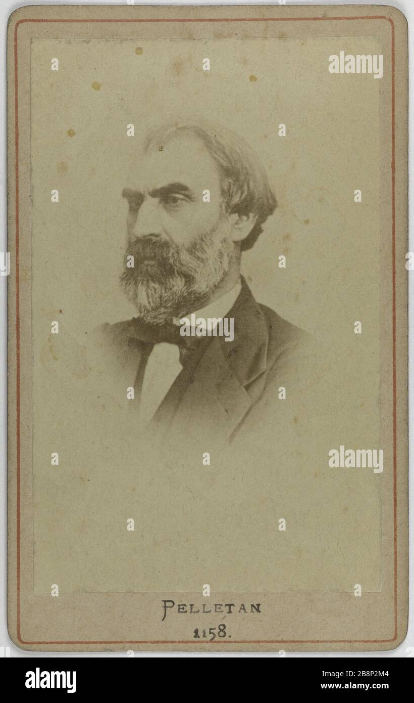 Ritratto di Eugene Pelletan, (1813-1884), (scrittore, senatore, politico, membro del governo nel 1870) Ritratto de Eugène Pelletan (1813-1884), écrivain, sénateur, homme politique, membre du gouvernement it 1870. Carte de visite (recto). Photographie de Paul Emile Pesme (actif de 1856 à 1877). Tirage sur papier albuminé, 1860-1890. Parigi, musée Carnavalet. Foto Stock