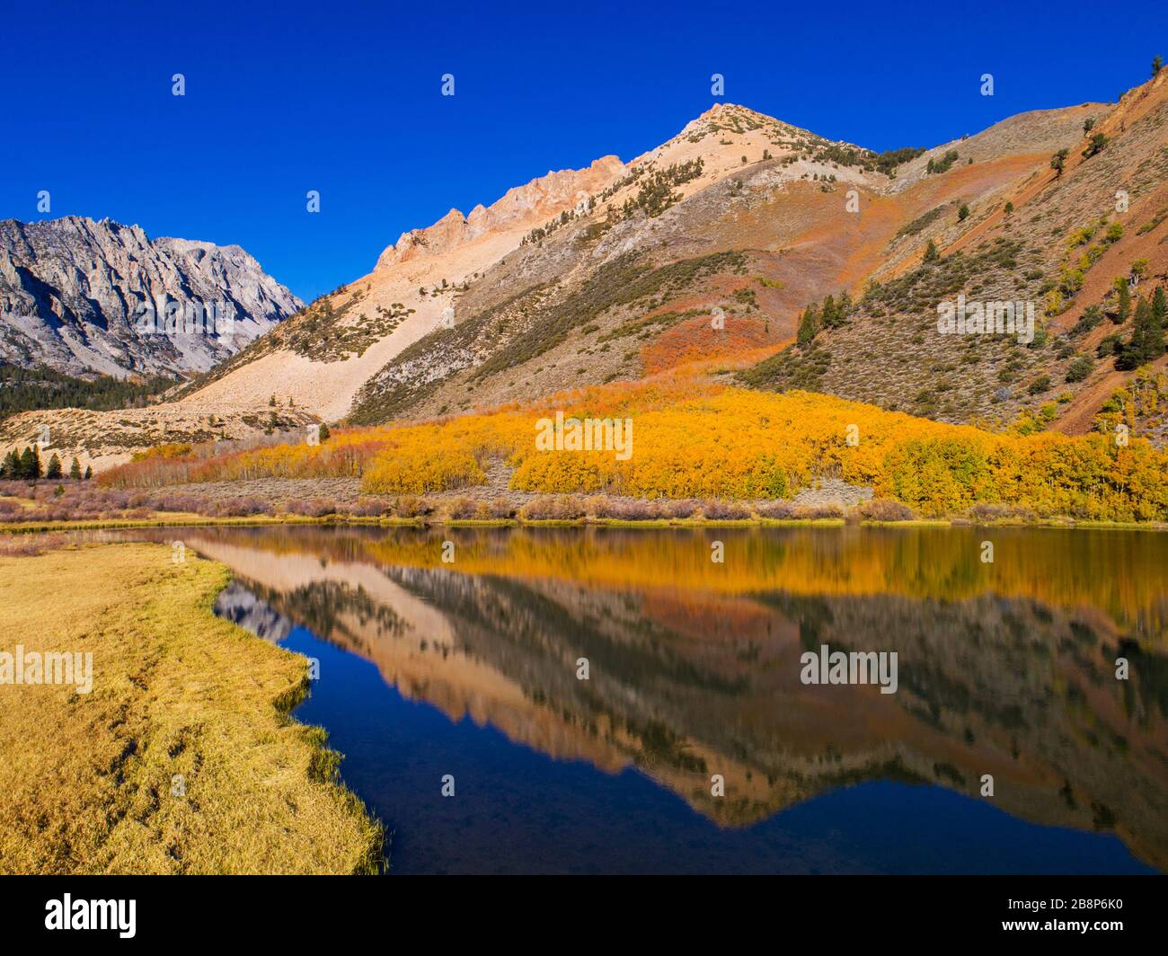 Veduta aerea del Lago Nord con riflessi di aspen caduta e montagne. Foto Stock