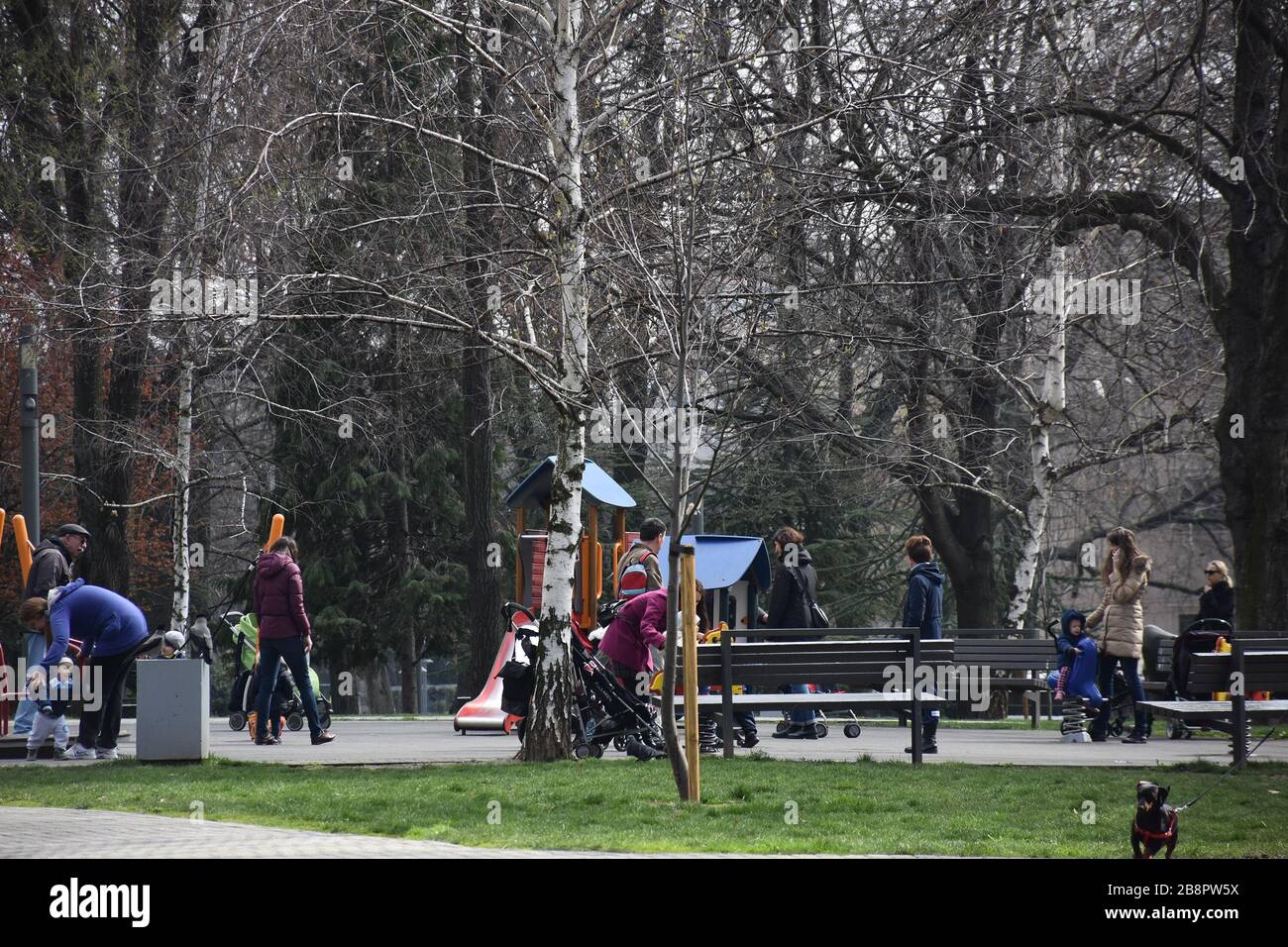 Un parco con alberi senza foglie. Molti camminatori camminano e si rilassano e giocano con bambini e animali domestici Foto Stock