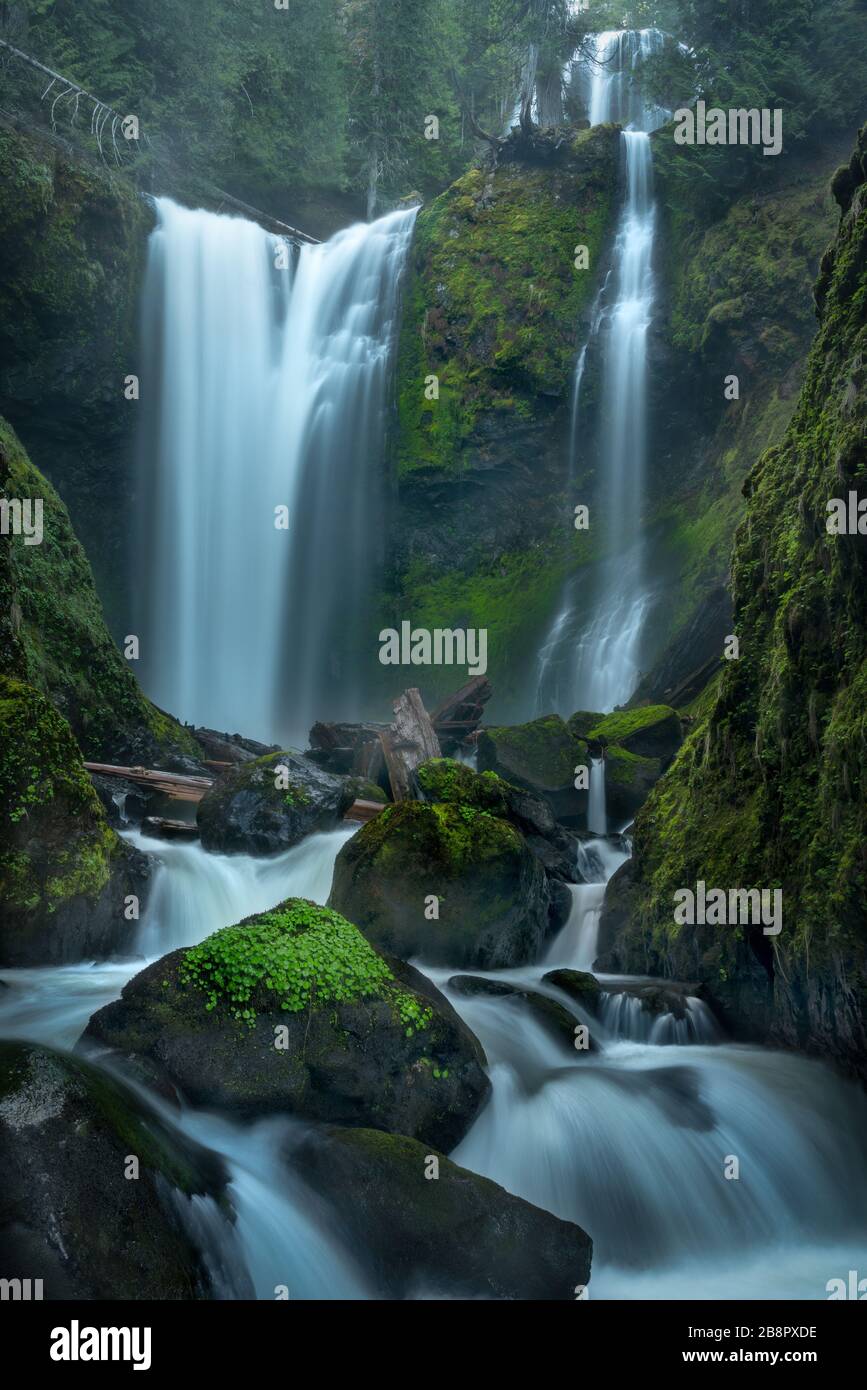 La cascata di Washington Foto Stock