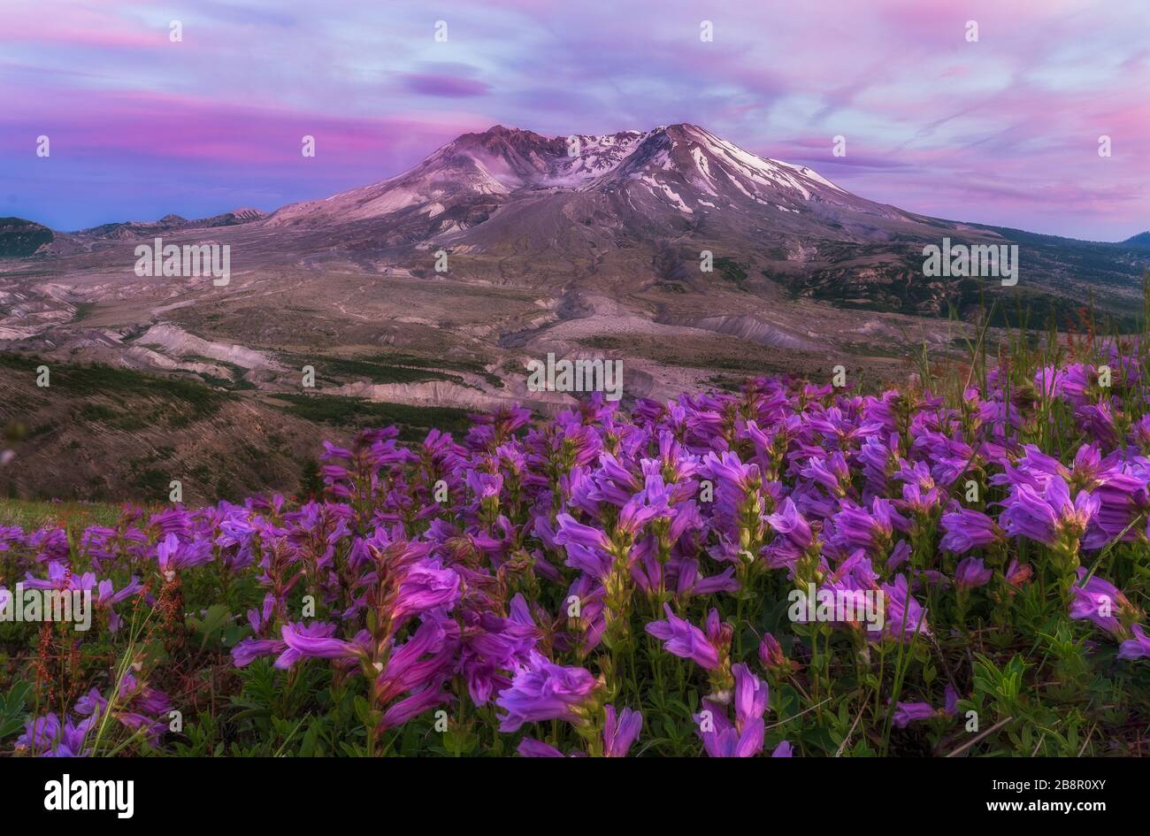 Montagna a Washington a Mt St Helens Foto Stock