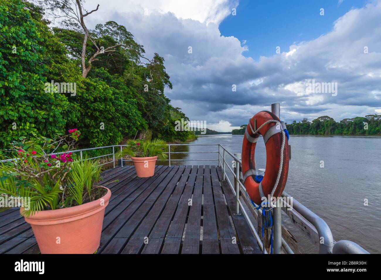 Vista sul fiume Suriname Foto Stock