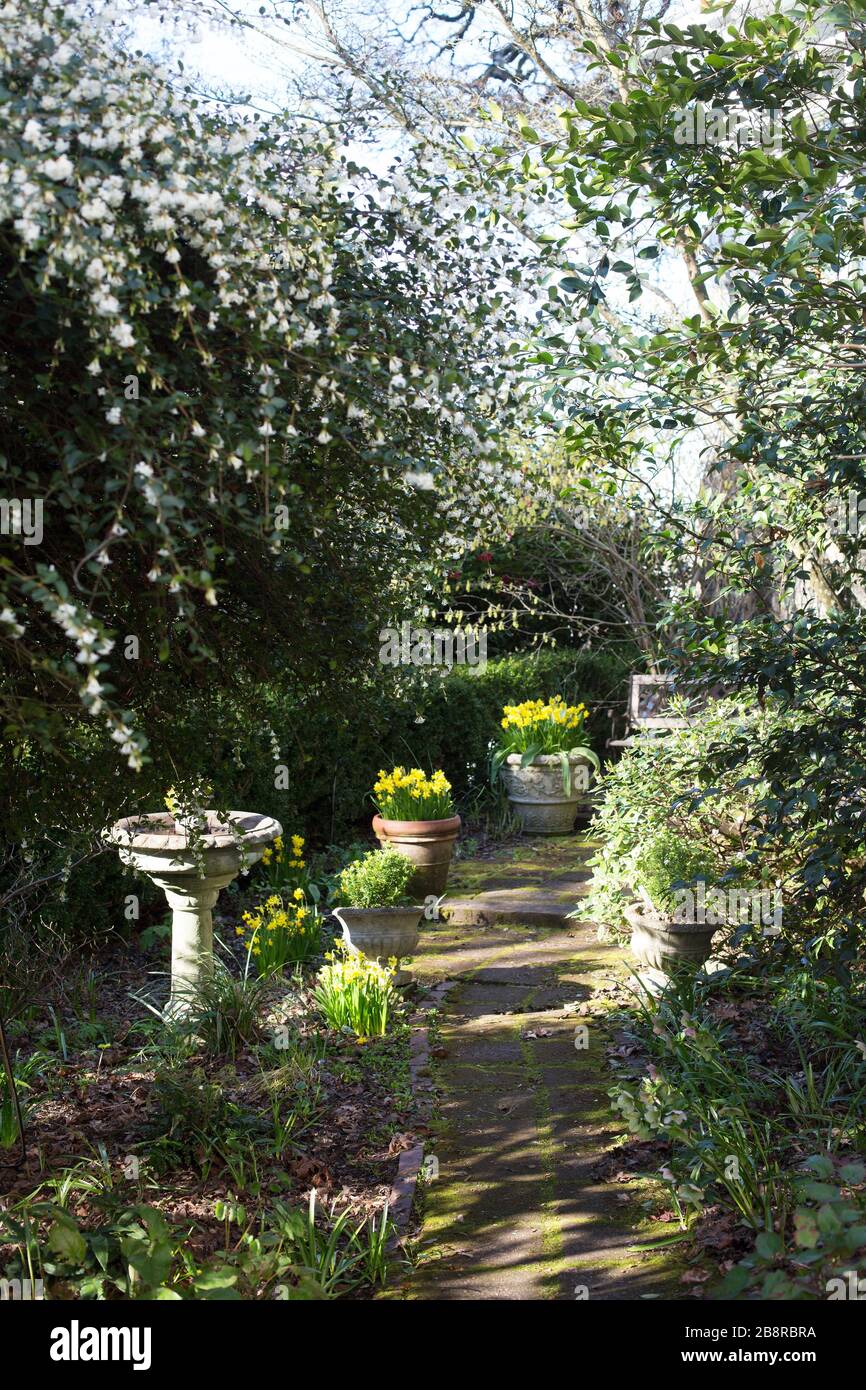 Deepwood Gardens a Salem, Oregon, Stati Uniti. Foto Stock