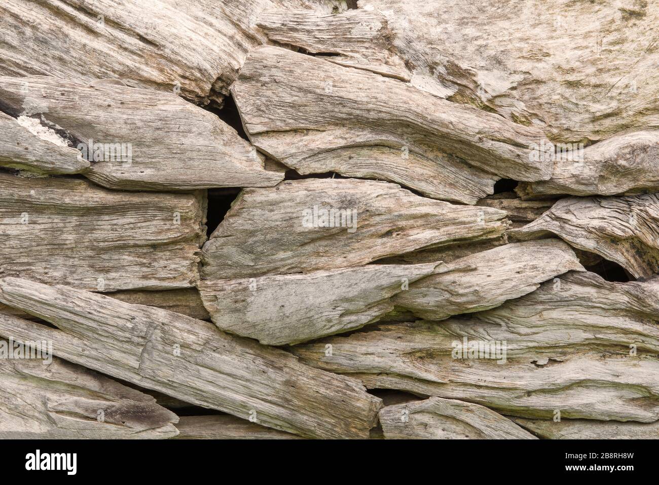 Piccole strutture in legno motivi naturali per lo sfondo. Foto Stock