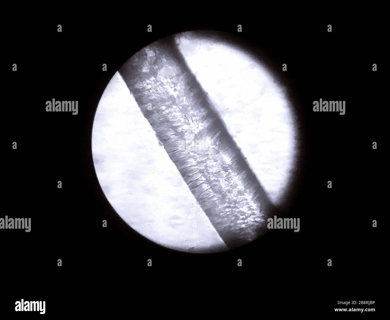 Capello Microscopio Ottico Immagini E Fotos Stock Alamy