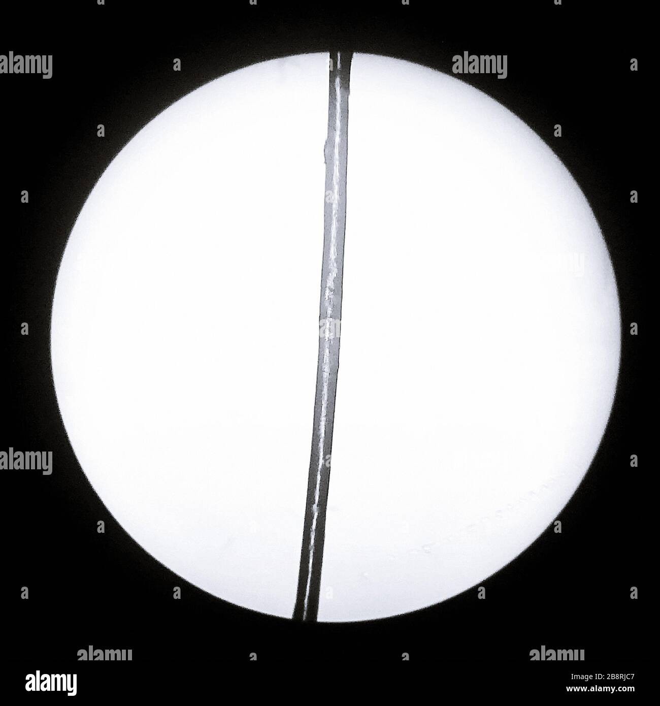 Capelli Umani Visti Sotto Un Microscopio Ottico Foto Stock Alamy