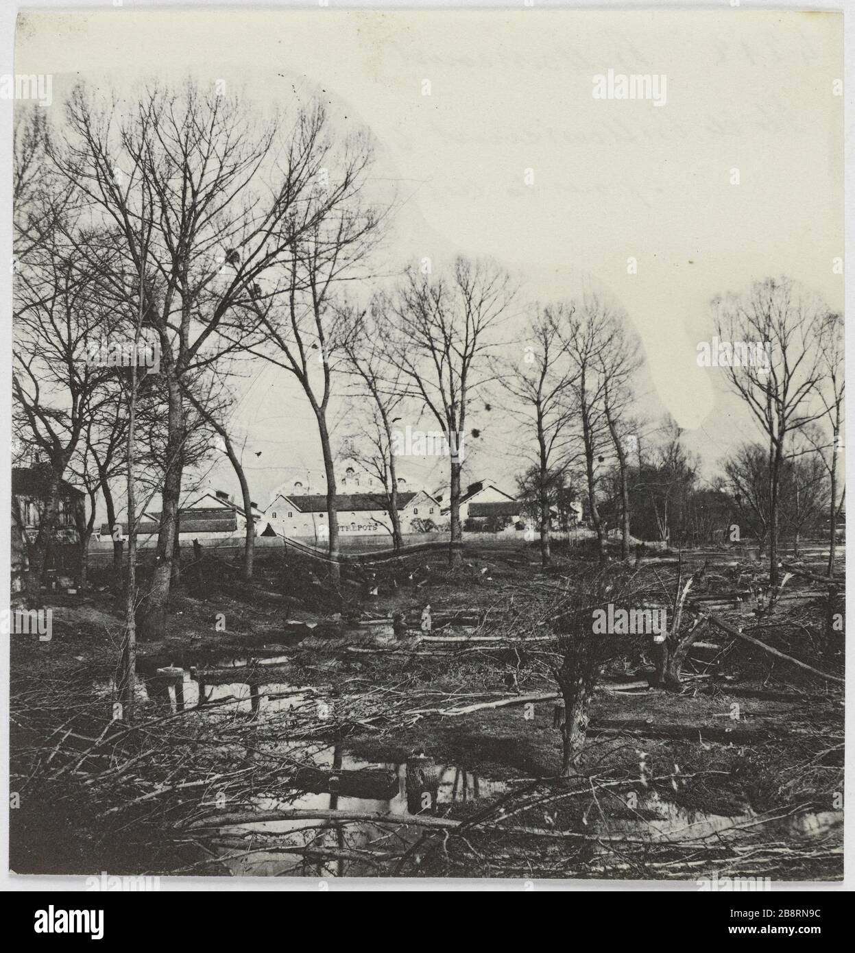 Billancourt / Grande ramo del Ponte della Senna / Billancourt. Isola Billancourt, legno tagliato per la difesa, Billancourt. La Commune de Paris. Ile de Billancourt, coupé de la défense, Billancourt (Hauts-de-Seine). Photographie d'Hippolyte Blancard (1843-1924). Tirage au platine (recto). 1870-1871. Parigi, musée Carnavalet. Foto Stock