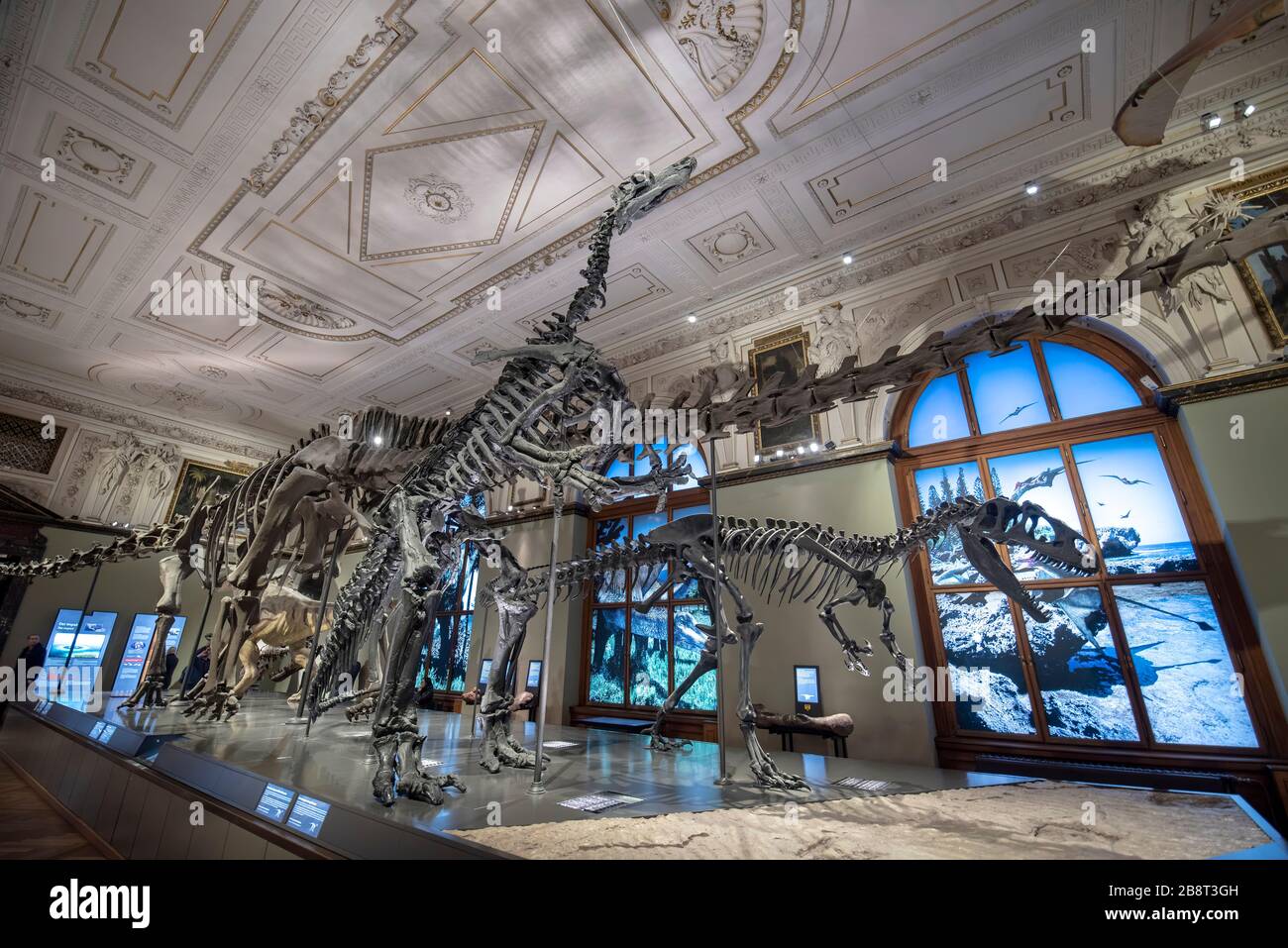 Vienna, Austria. Il Museo di Storia Naturale (Naturhistorisches Museum) interno. Il più grande e vecchio museo che espone molti esemplari, dinosauro Foto Stock