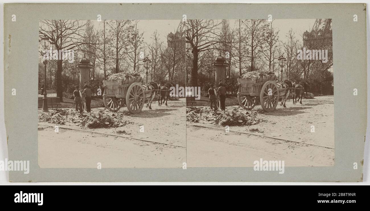 1900 Fiera del mondo: Carretto di cavallo al Champ de Mars, 7 ° arrondissement, Parigi. Esposizione Universelle de 1900. Charrette à cheval au Champ-de-Mars, Parigi (VIIème arr.). Anonima fotographie. Vue stéréoscopique, gélatino-clorure d'argent (aristotipo). Entre 1895 e 1905. Parigi, musée Carnavalet. Foto Stock