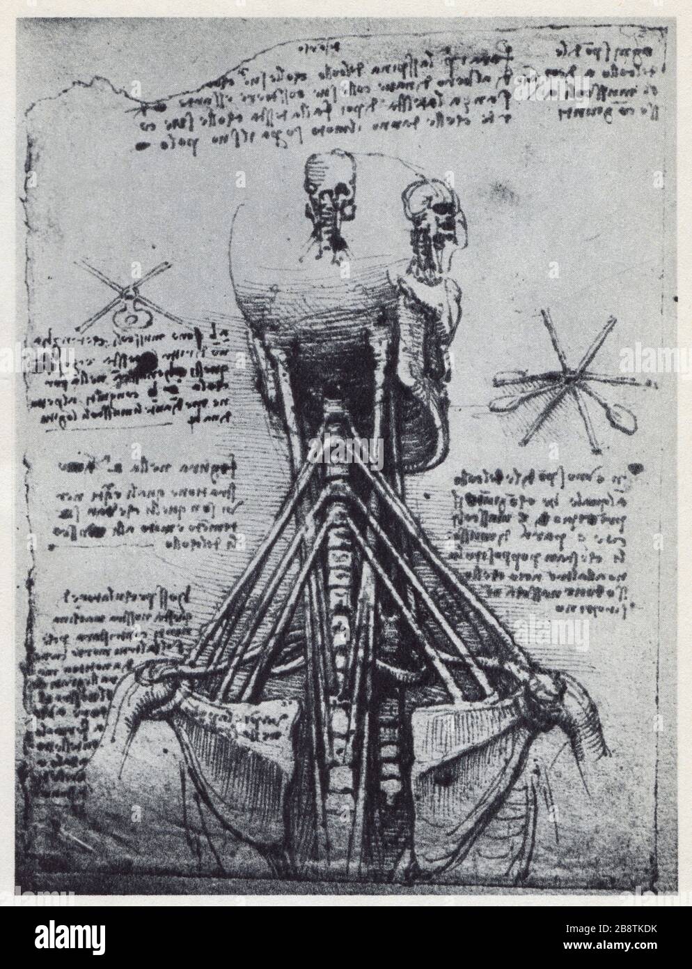 Leonardo da Vinci. Studio anatomico. 1513. Foto Stock