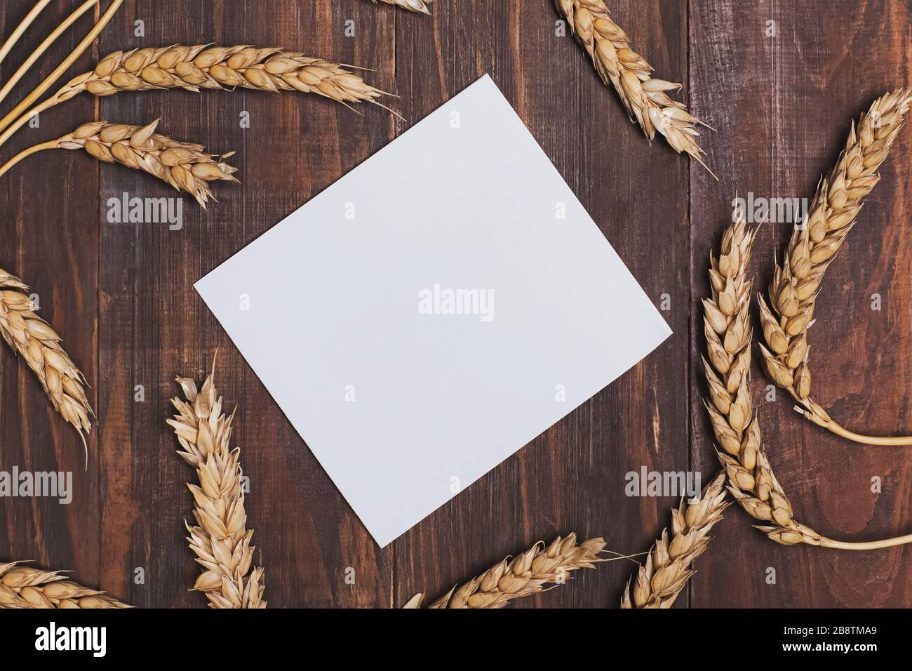 Spighe di grano con grani e carta vuota sulla vista del tavolo di legno Foto Stock