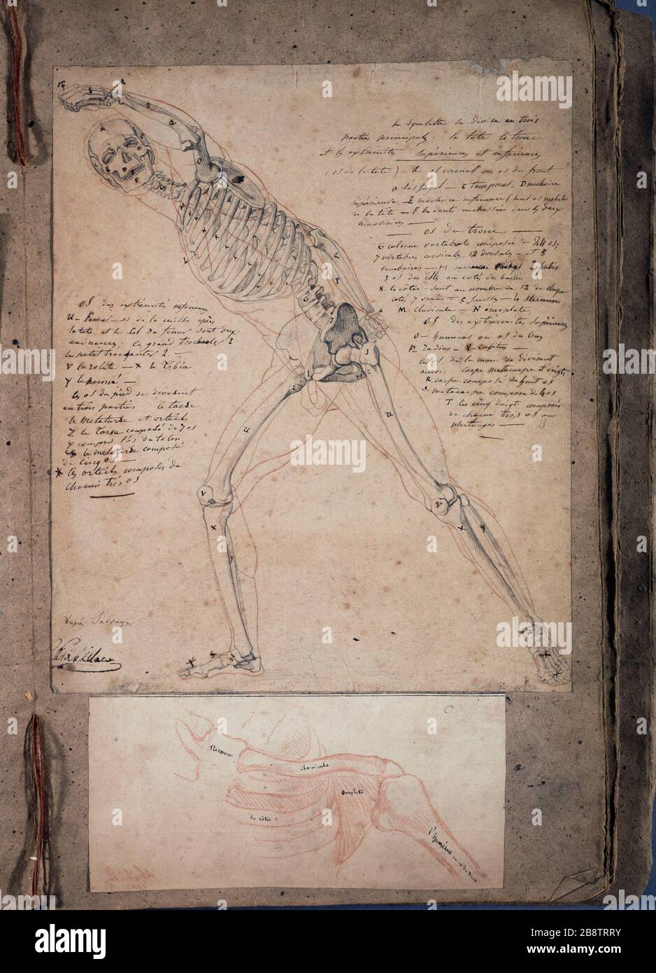 Collezione di anatomia dalla natura e dai maestri di Chabrillac (pagina 7) Charles Raymond Chabrillac (né it 1804). Recueil d'anatomie d'après nature et d'après les maîtres. Crayon couleur, encre de chine. Parigi, musée Carnavalet. Foto Stock