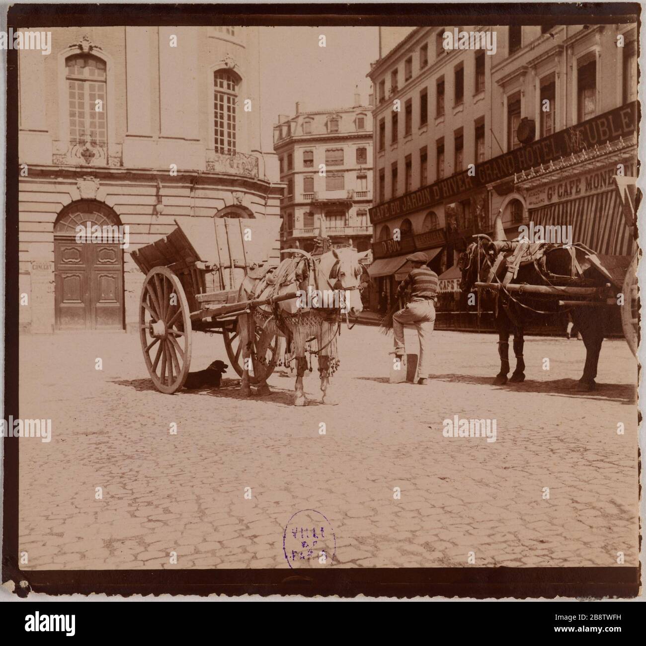 Tolosa. Place du Capitole. Auto cavallo e cavaliere, Place du Capitole, Tolosa. "Voitures à cheval et cycliste, Place du Capitole, Tolosa". Anonima fotographie. Aristotipo. Parigi, musée Carnavalet. Foto Stock