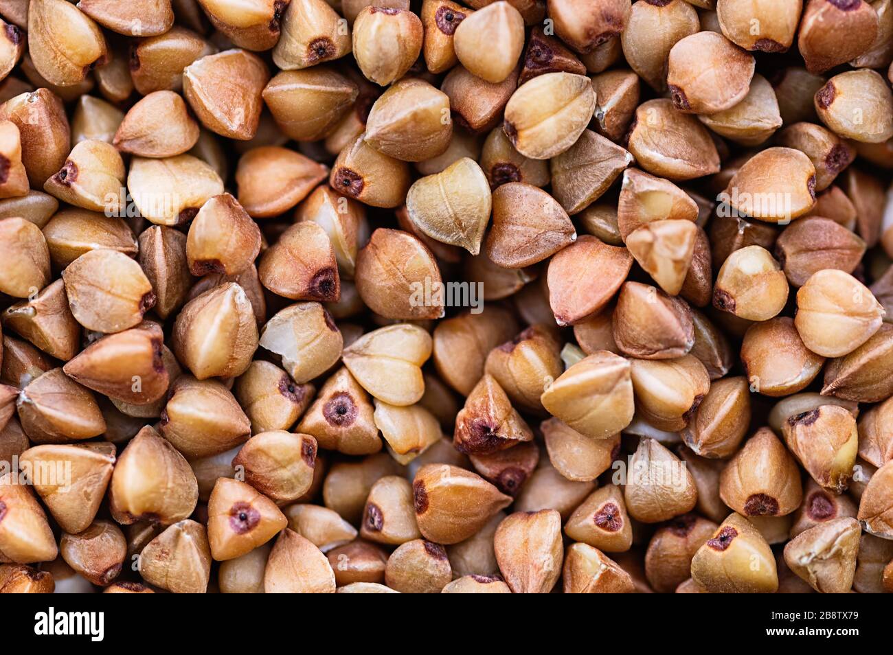 Grano saraceno macrofano. Alimentazione sana, dieta. Sfondo astratto. Primo piano. Foto Stock