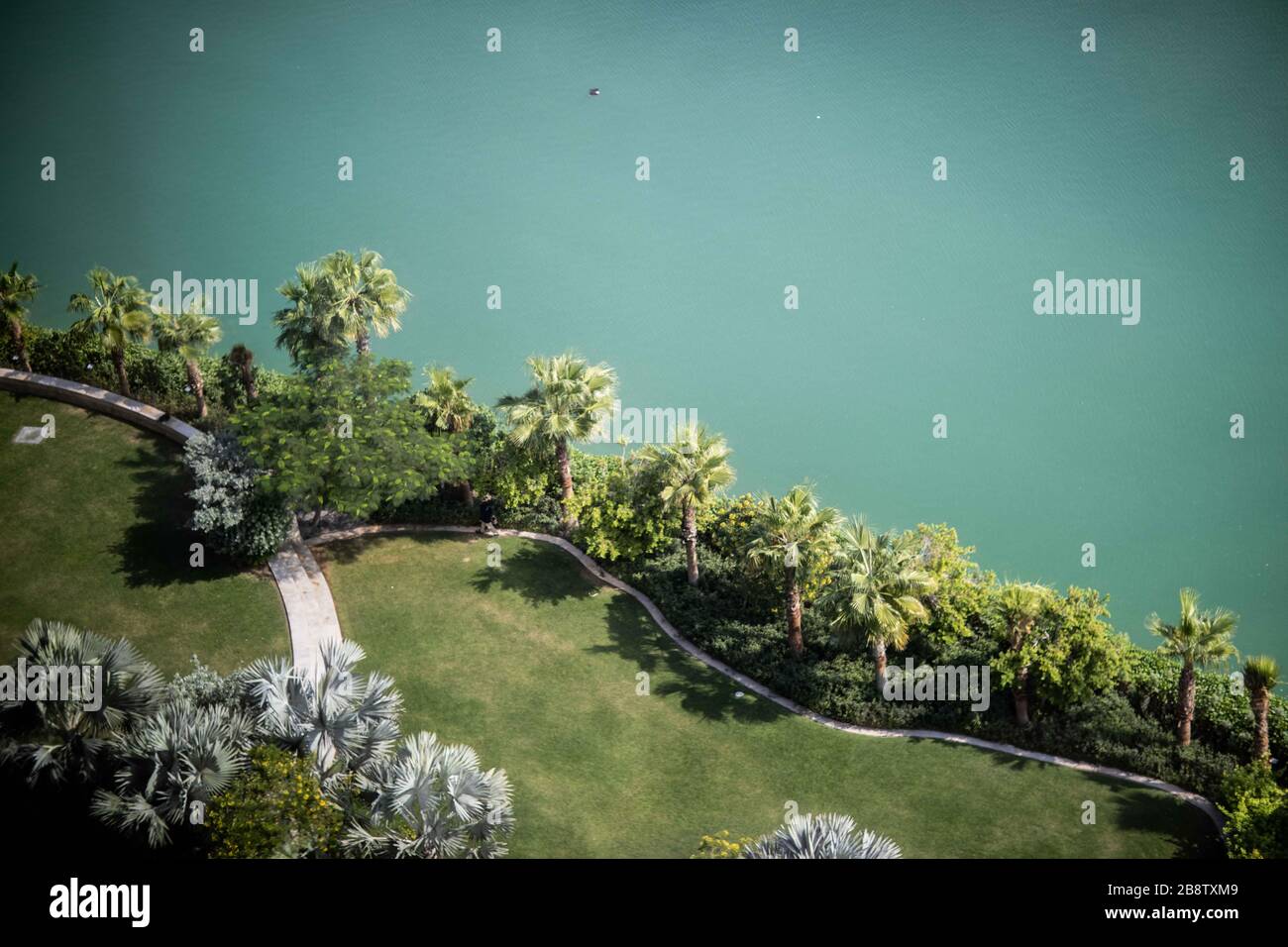 Alberi di palma nel Four Seasons Hotel Bay Bahrain Foto Stock