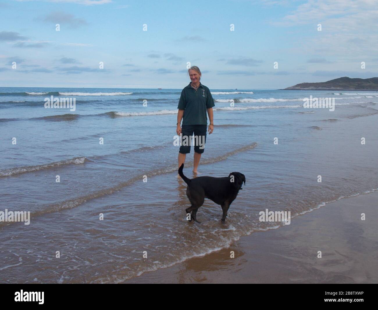 Cane a piedi sulla spiaggia Devon Foto Stock
