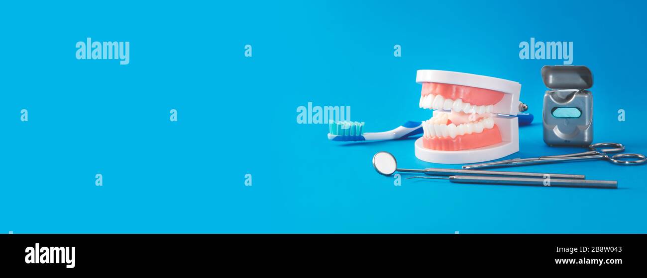 Cura dentale, utensili e mascella isolati. Sfondo banner Web con spazio di copia Foto Stock